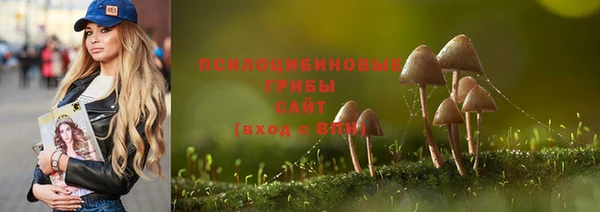 прущие крисы Алзамай