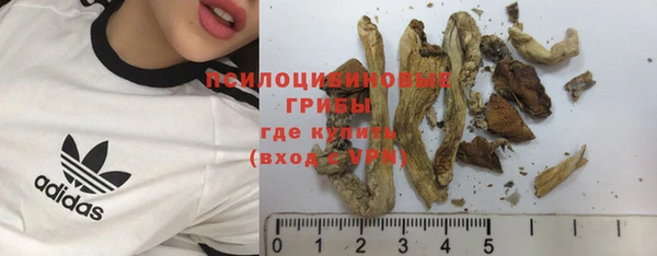 стафф Алексеевка