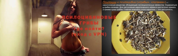 прущие крисы Алзамай