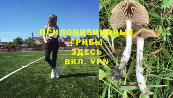 mix Алексин