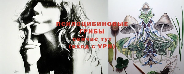mix Алексин