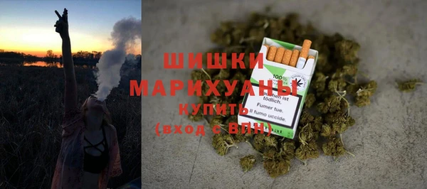 индика Покровск