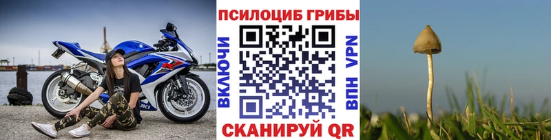 Псилоцибиновые грибы Psilocybe  наркота  kraken вход  Киреевск 